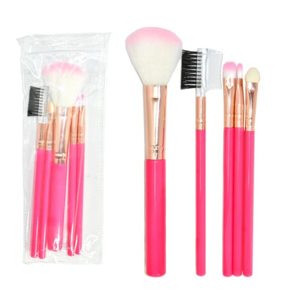Set de brochas de 5 unidades colores surtidos